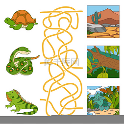 迷宫图片_迷宫游戏 (龟、 蛇、 鬣蜥和栖息