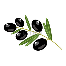 在白色背景上的黑橄榄。