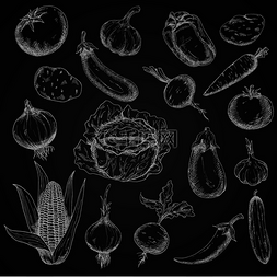 粉笔在黑板上用雕刻风格勾勒蔬菜
