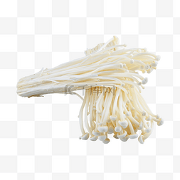 金针菇金蘑菇寄生菌