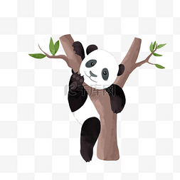 树杈树叶图片_树杈卡通可爱熊猫