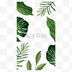 夏季边框设计图片_边框水彩植物自然instagram