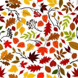 红色叶子的树图片_秋天留下了无缝的图案背景向量叶