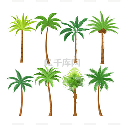 棕榈树平面向量图集. 奇异的海滩