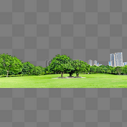 城市绿化植物树木草地