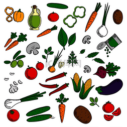 土豆青瓜胡萝卜图片_农场蔬菜和香草素描西红柿和胡萝