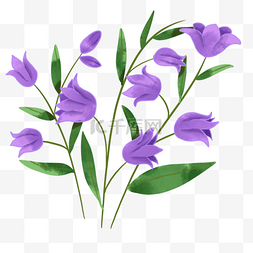 蓝色婚礼花卉图片_水彩风格蓝紫色蓝铃花婚礼花卉