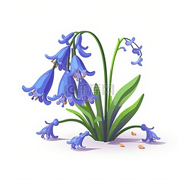 紫色花卉插画图片_一朵蓝铃花的花卉
