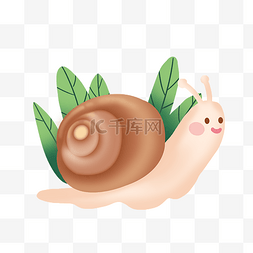 蜗牛壳图片_软体动物蜗牛和绿叶