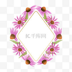 紫锥菊叶子图片_紫锥花水彩花卉自然边框