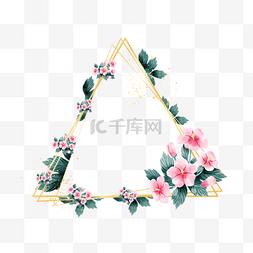 金线边框三角形韩国木槿花卉