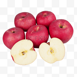 秦冠苹果水果果实