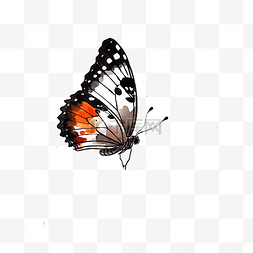 一只图片_古风国画一只蝴蝶