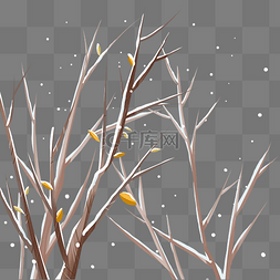 冬季植物树枝图片_冬季下雪积雪树枝