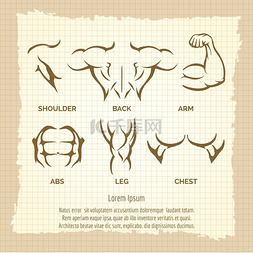 肌肉插图图片_健美复古海报男性肌肉元素健美复