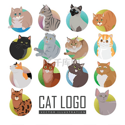 短猫图片_猫的脸矢量平面设计插画集。
