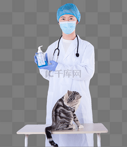 兽医猫咪图片_兽医给猫看病
