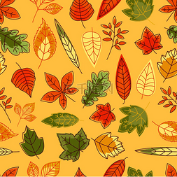 秋天的黄色树叶图片_秋叶无缝图案与五颜六色的红色、
