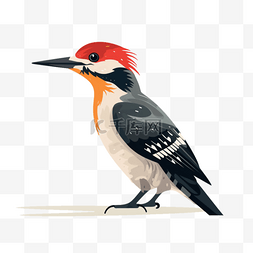 啄木鸟刀片图片_手绘动物扁平素材啄木鸟(1)