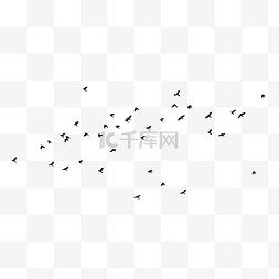一群动物图片_春天飞翔的鸟