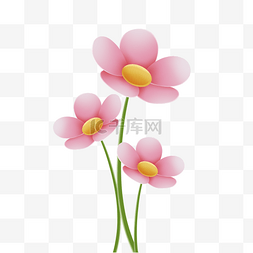 春季粉色花朵图片_春季春天粉色花朵