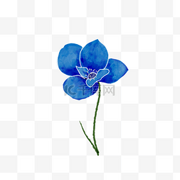 手绘装饰小花图片_蓝色的小花