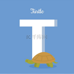 卡通乌龟素材图片_动物字母表。