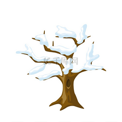 红花继木树图片_冬天的树，树枝上有雪。