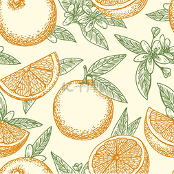 橙色添加按钮图片_橙色水果和花卉图案。