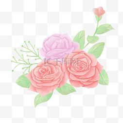 大朵玫瑰图片_植物水彩花卉粉色大朵玫瑰