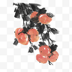 熟透的杏图片_水墨水果柿子