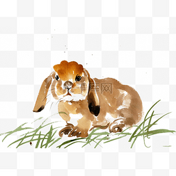 棕色的小兔子图片_眺望的兔子