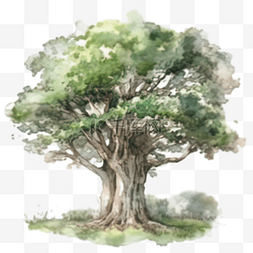 树，卡通树，树图片_树卡通手绘水彩风格大树