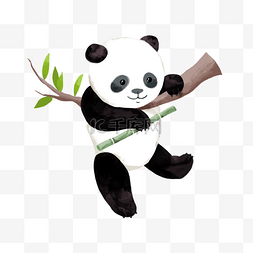 黑色竹子图片_卡通可爱水彩熊猫