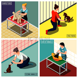 喂养小狗图片_女性志愿者在喂养动物清洗猫梳理