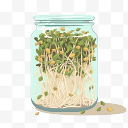 卡通手绘蔬菜水培豆芽