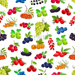 果莓图片_无缝图案带有卡通浆果矢量沙棘黑