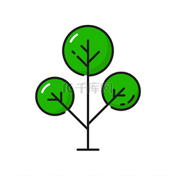 线条中的树木图标绿色森林橡树或