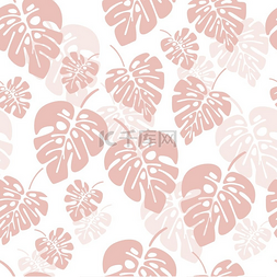 夏季植物背景图片_夏季无缝图案与粉红色龟背竹棕榈
