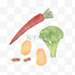 手绘水彩风蔬菜胡萝卜马铃薯土豆