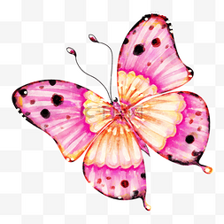 水彩风格黄粉色黑点装饰飞翔蝴蝶