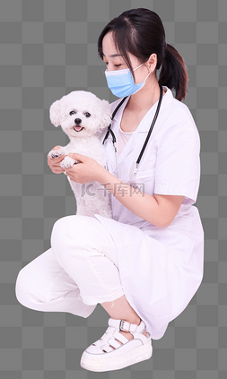 医生与宠物