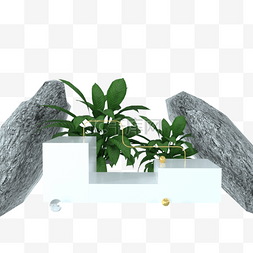 植物渲染图片_质感黑色岩石白色展台和3d颜色植