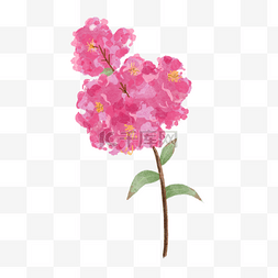 花草树的装饰图片_紫薇花水彩花卉粉红色