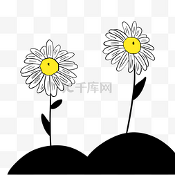 菊花抽象图片_抽象花卉土壤剪影菊花植物