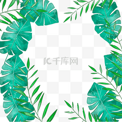 绿色树枝树叶边框图片_绿色宽边水彩热带树叶边框