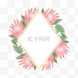 盛开的花朵图片_普罗蒂亚花卉水彩粉色自然边框
