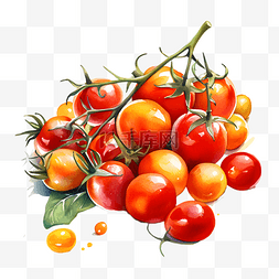 手绘西红柿图片_水果蔬菜西红柿圣女果手绘