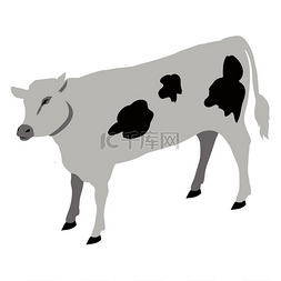 农场牛图片_国内牛矢量图的小牛仔。