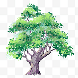 树木树林植物绿色环保植树节